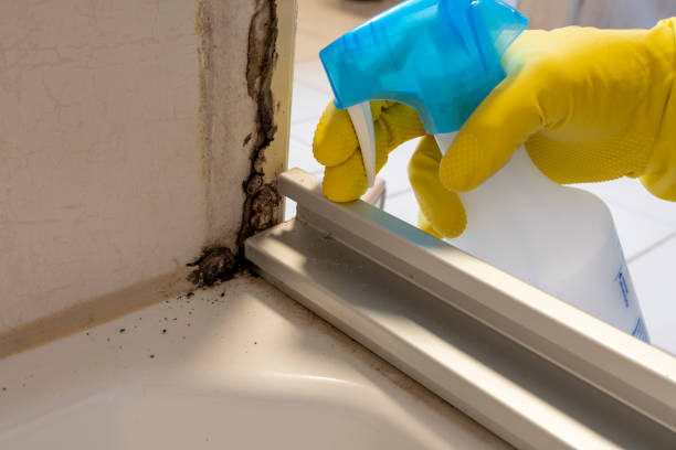 Crawl Space Mold Removal in Lakeview Estates, GA