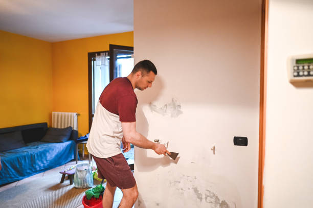 Best Crawl Space Mold Removal  in Lakeview Estates, GA