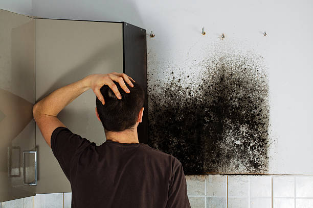Best Attic Mold Removal  in Lakeview Estates, GA
